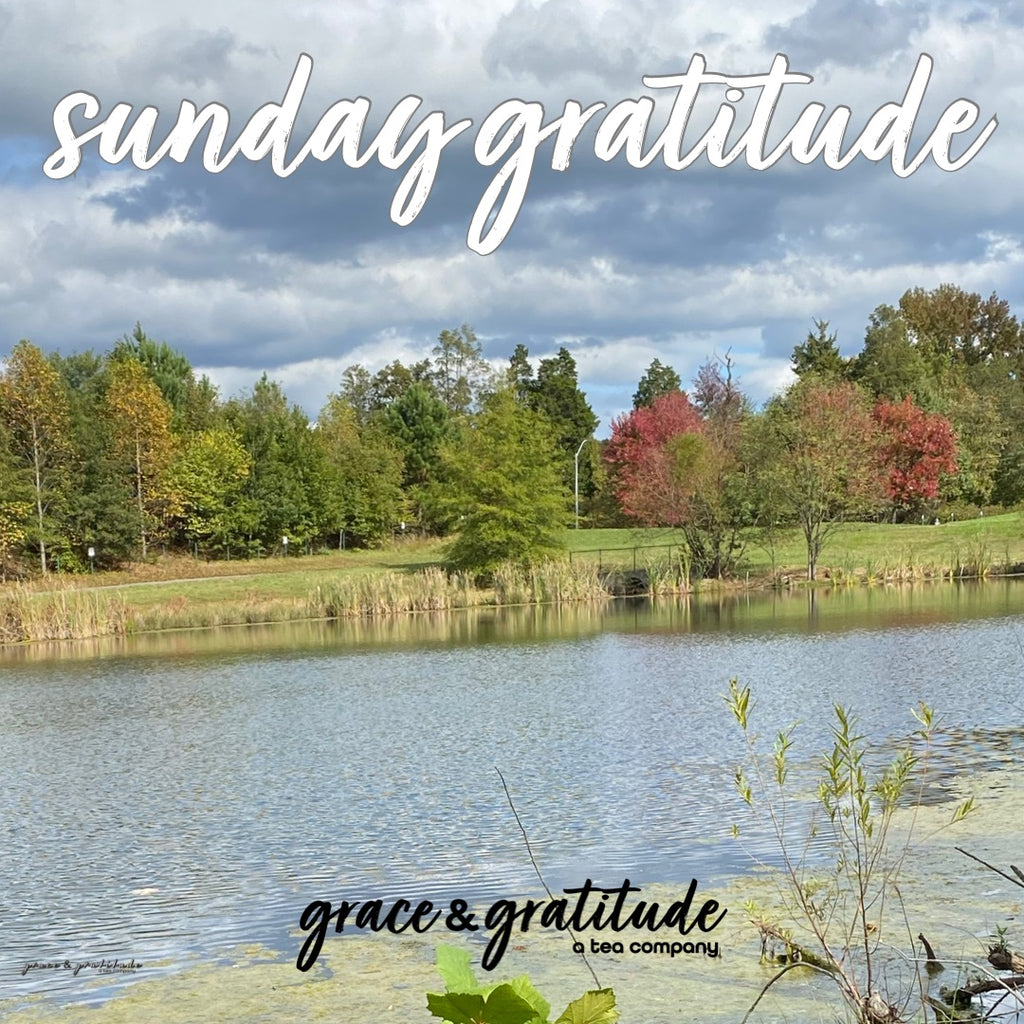 Sunday Gratitude